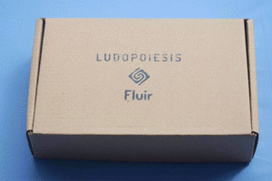 LUDOPOIESIS FLUIR