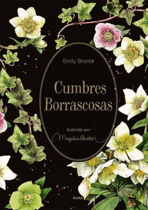 CUMBRES BORRASCOSAS